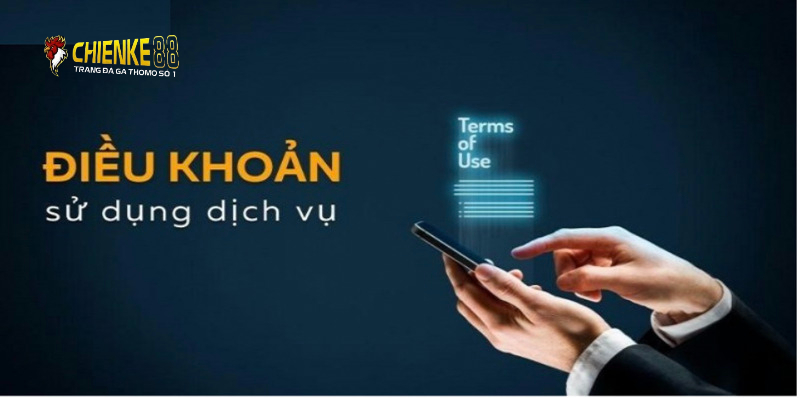 Nhà cái toàn quyền dừng cung cấp dịch vụ nếu người chơi vi pham